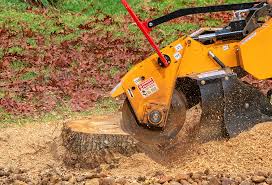 How Our Tree Care Process Works  in  Makawao, HI